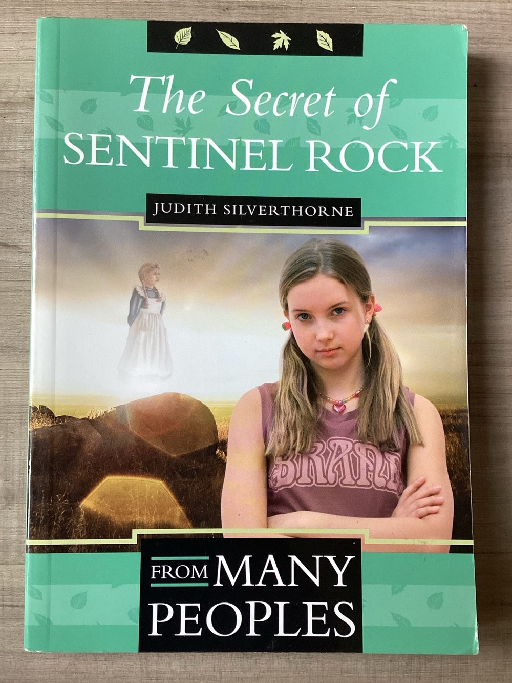 2/$15 The Secret of Sentinel Rock by Judith Silverthorne Historical Fiction